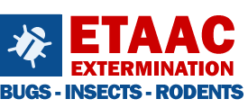 Termite Control Pro's